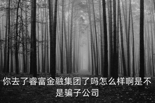 你去了睿富金融集團了嗎怎么樣啊是不是騙子公司