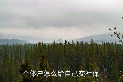 個(gè)體戶怎么給自己交社保