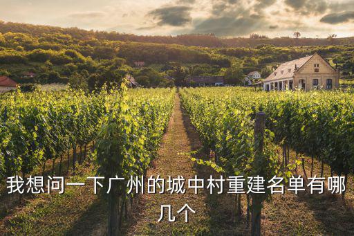 我想問一下廣州的城中村重建名單有哪幾個