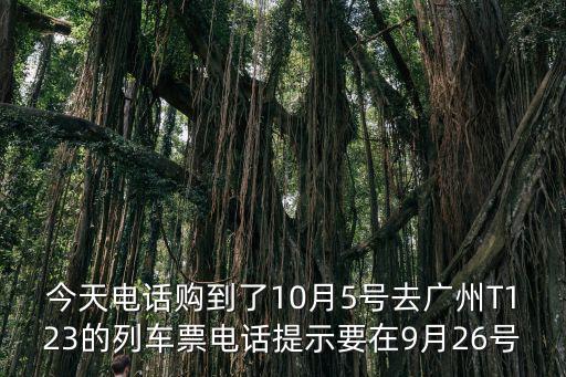 今天電話購到了10月5號去廣州T123的列車票電話提示要在9月26號