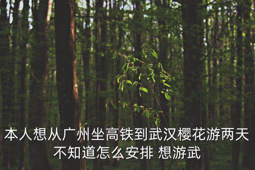 本人想從廣州坐高鐵到武漢櫻花游兩天不知道怎么安排 想游武