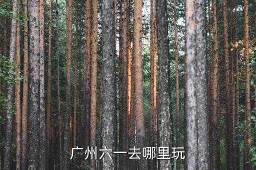 廣州六一去哪里玩