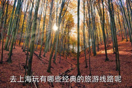 去上海玩有哪些經典的旅游線路呢