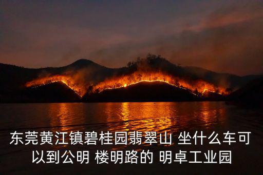 東莞黃江鎮(zhèn)碧桂園翡翠山 坐什么車可以到公明 樓明路的 明卓工業(yè)園