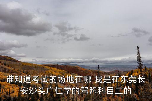 誰知道考試的場地在哪 我是在東莞長安沙頭廣仁學的駕照科目二的