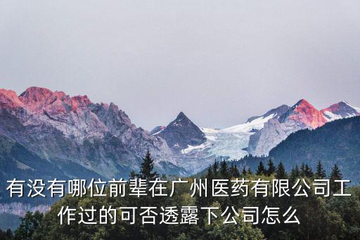 有沒有哪位前輩在廣州醫藥有限公司工作過的可否透露下公司怎么