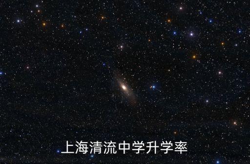 上海清流中學升學率