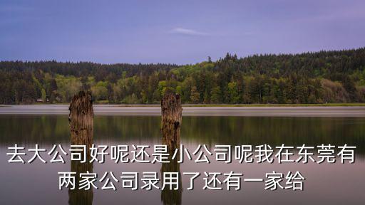 東莞佳達實業 招聘，東莞智通人才招聘公司做銷售崗位待遇