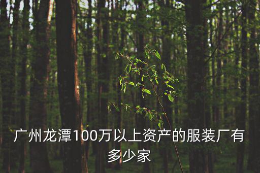 廣州市佰尼倫服裝有限公司，廣州龍?zhí)?00萬(wàn)以上資產(chǎn)的服裝廠有多少家