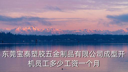 東莞寶泰塑膠五金制品有限公司成型開機員工多少工資一個月