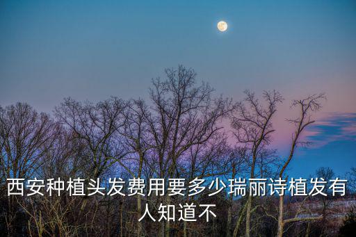 瑞麗詩植發，不懂就問成都瑞麗詩植發如何好不好
