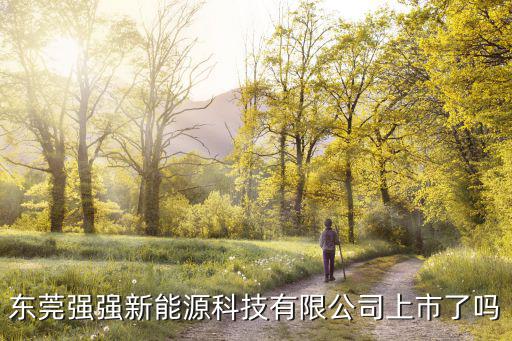 東莞強強新能源科技有限公司上市了嗎
