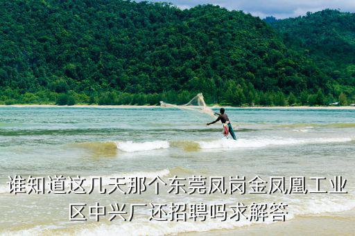 誰(shuí)知道這幾天那個(gè)東莞鳳崗金鳳凰工業(yè)區(qū)中興廠還招聘嗎求解答