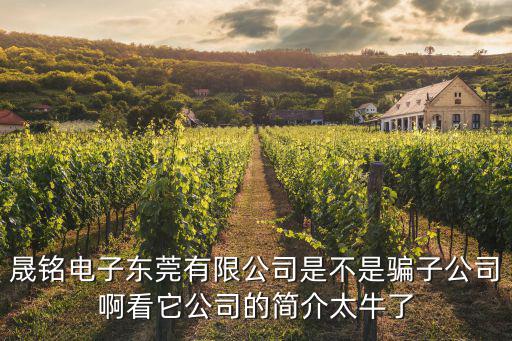 晟銘電子東莞有限公司是不是騙子公司啊看它公司的簡介太牛了