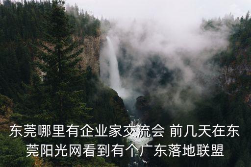 東莞哪里有企業(yè)家交流會 前幾天在東莞陽光網(wǎng)看到有個廣東落地聯(lián)盟