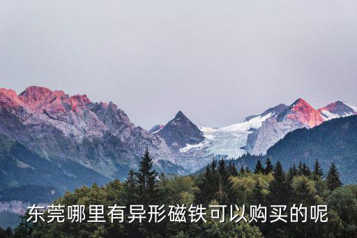 東莞哪里有異形磁鐵可以購買的呢