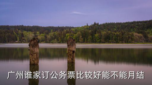 廣州點對點商務服務有限公司，廣州市瑞榮網絡科技有限公司是干什么的