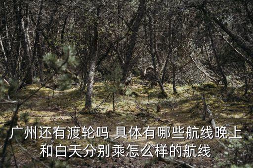 廣州還有渡輪嗎 具體有哪些航線晚上和白天分別乘怎么樣的航線