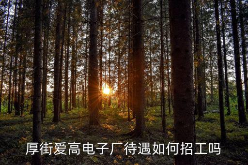 厚街愛高電子廠待遇如何招工嗎
