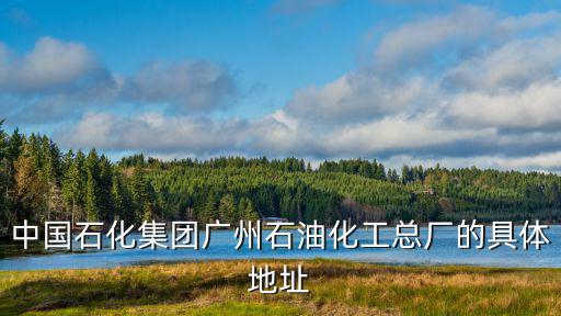 廣州中石化自營，中國石化集團廣州石油化工總廠的具體地址