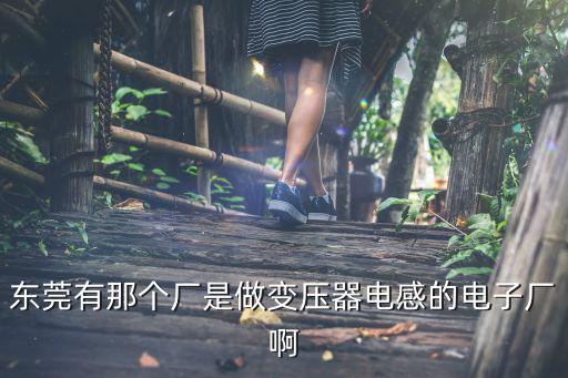 東莞有那個廠是做變壓器電感的電子廠啊