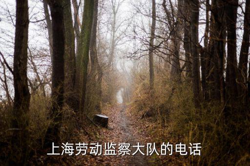 上海勞動監察大隊，上海勞動監察大隊的電話
