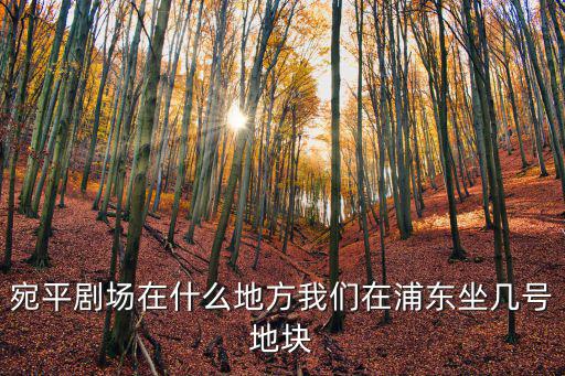 宛平劇場在什么地方我們在浦東坐幾號地塊