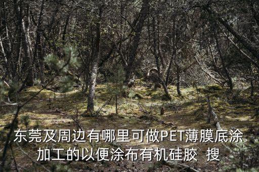 東莞及周邊有哪里可做PET薄膜底涂加工的以便涂布有機硅膠  搜