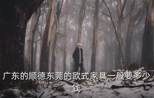 廣東的順德東莞的歐式家具一般要多少錢