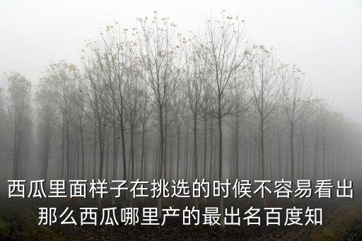 南匯西瓜，西瓜有這么多的品種上海人為什么獨獨愛南匯8424西瓜