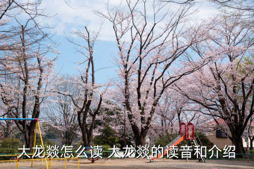 大龍燚怎么讀 大龍燚的讀音和介紹