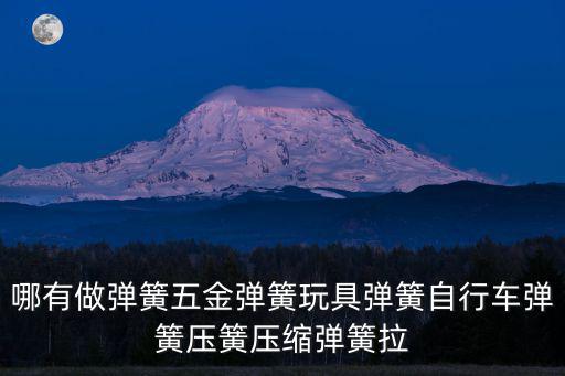 哪有做彈簧五金彈簧玩具彈簧自行車彈簧壓簧壓縮彈簧拉