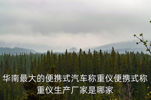華南最大的便攜式汽車稱重儀便攜式稱重儀生產廠家是哪家