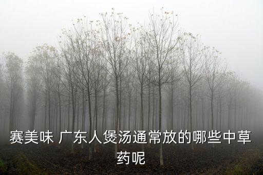 賽美味 廣東人煲湯通常放的哪些中草藥呢