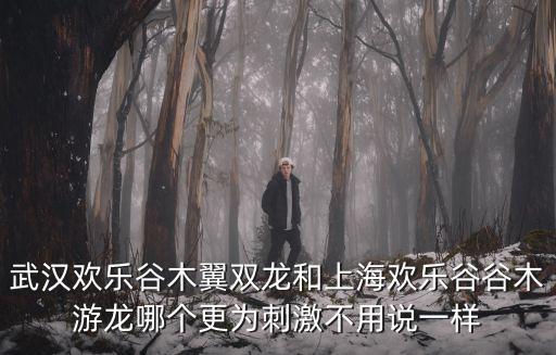 武漢歡樂谷木翼雙龍和上海歡樂谷谷木游龍哪個更為刺激不用說一樣