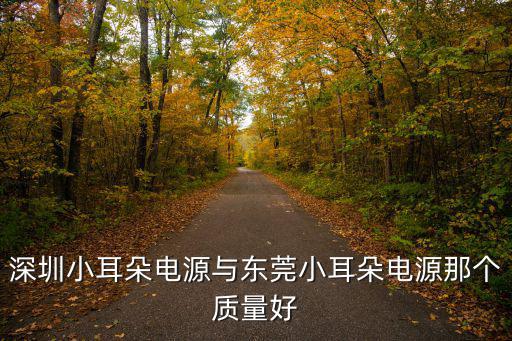 深圳小耳朵電源與東莞小耳朵電源那個質量好