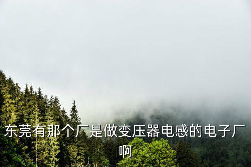 東莞有那個廠是做變壓器電感的電子廠啊