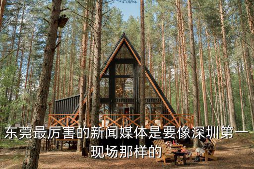 東莞最厲害的新聞媒體是要像深圳第一現場那樣的