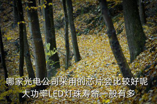 哪家光電公司采用的芯片會比較好呢 大功率LED燈珠壽命一般有多