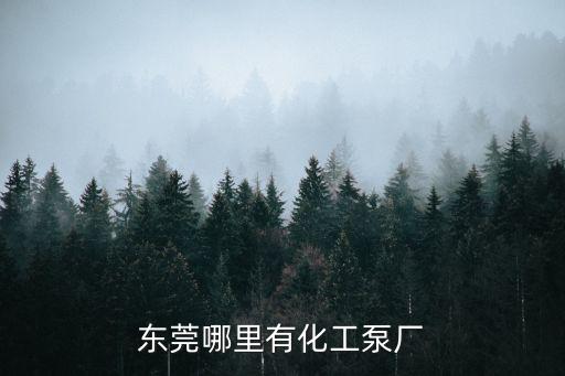 東莞哪里有化工泵廠