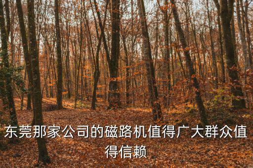 東莞那家公司的磁路機值得廣大群眾值得信賴