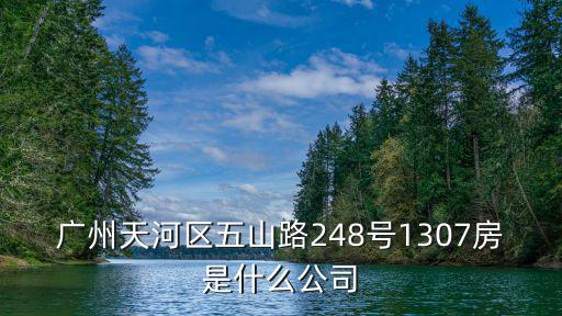 廣州天河區五山路248號1307房是什么公司