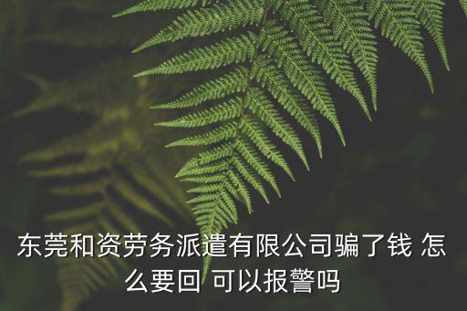 東莞和資勞務(wù)派遣有限公司騙了錢 怎么要回 可以報(bào)警嗎