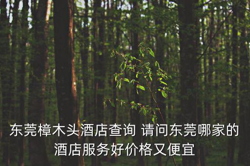 東莞樟木頭酒店查詢 請問東莞哪家的酒店服務(wù)好價格又便宜
