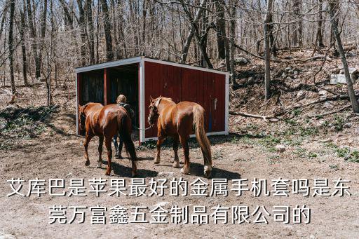 艾庫巴是蘋果最好的金屬手機套嗎是東莞萬富鑫五金制品有限公司的