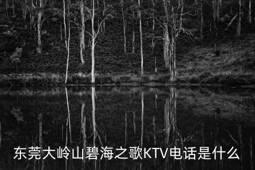東莞大嶺山頂尖ktv，東莞大嶺山哪有好點(diǎn)的KTV