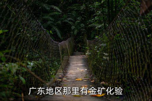 廣東地區(qū)那里有金礦化驗(yàn)