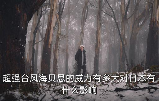 超強臺風海貝思的威力有多大對日本有什么影響