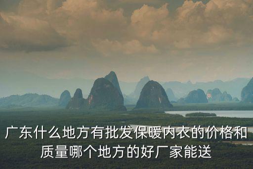 廣東什么地方有批發保暖內衣的價格和質量哪個地方的好廠家能送