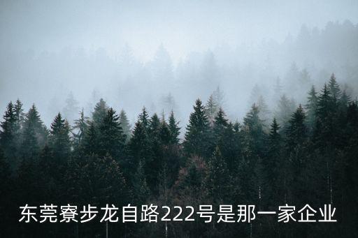 東莞寮步龍自路222號是那一家企業
